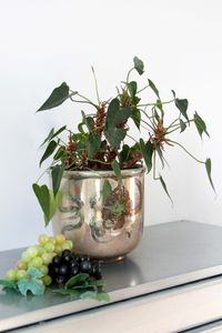 Vase, &Uuml;bertopf, Pflanzenschale, Keramiktopf, Kunstkeramik, Italien, Carla Lega, MidCentury, Tauben, Reben,